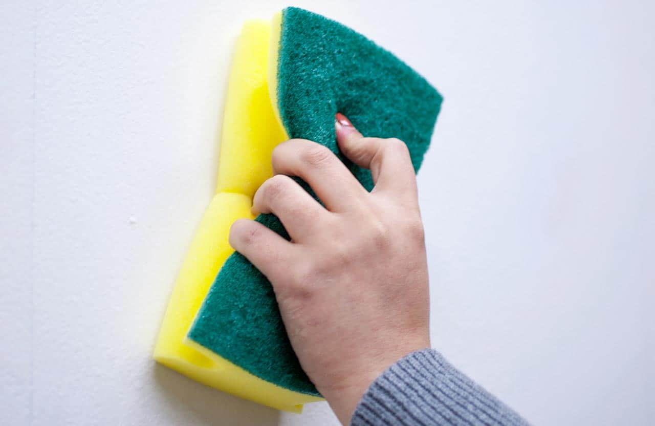 ROMAN Wallpaper Removal Sponge - Image 3